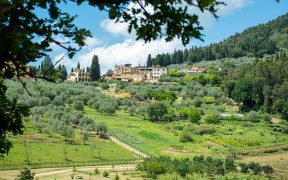 Fattoria di Maiano