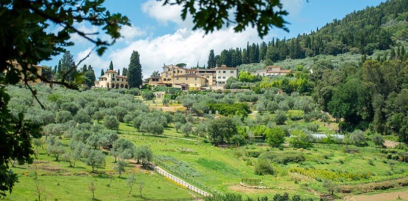 Fattoria di Maiano