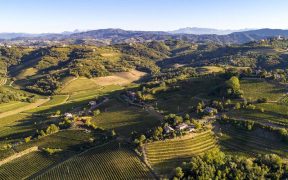 Humar Vini - Weingut & DOC Collio Weine in Friaul