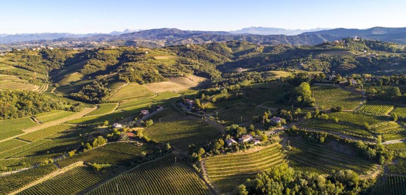 Humar Vini - Weingut & DOC Collio Weine in Friaul