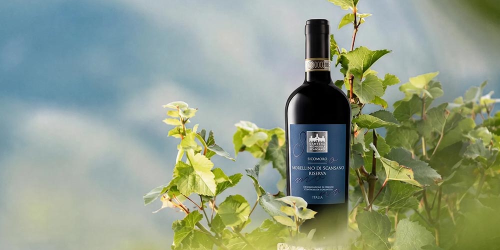 Vignaioli del Morellino di Scansano - Spitzenweine aus der Toskana Vignaioli del Morellino di Scansano - Spitzenweine aus der Toskana